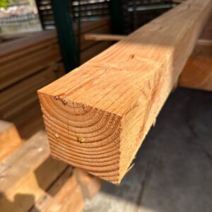 560.030 M1 Douglas  100 x 100 mm